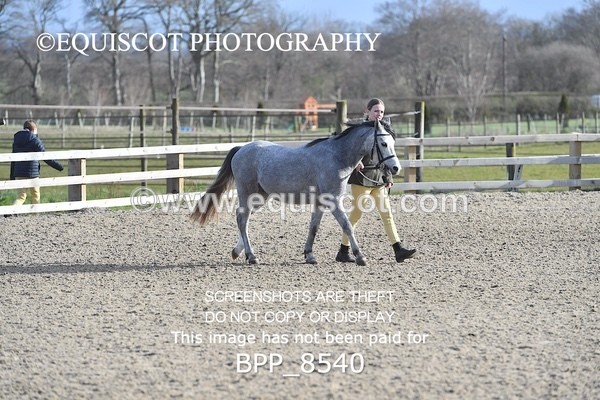 BPP_8540 - RING 2 - M&M