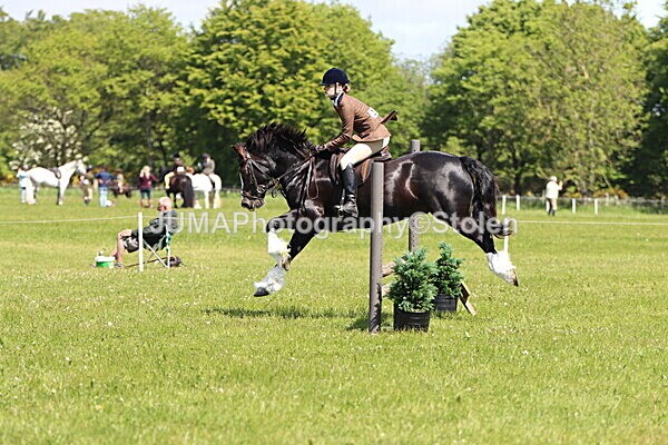 IMG_3698 - Working Hunter