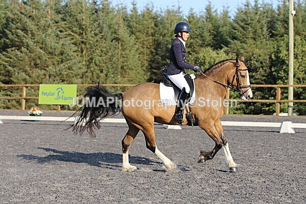 SIAL2062 - Saturday 16th 230pm till finish