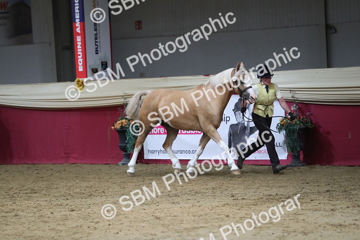 SBM_06276 - Class 9R Regional- IH Pre Vet