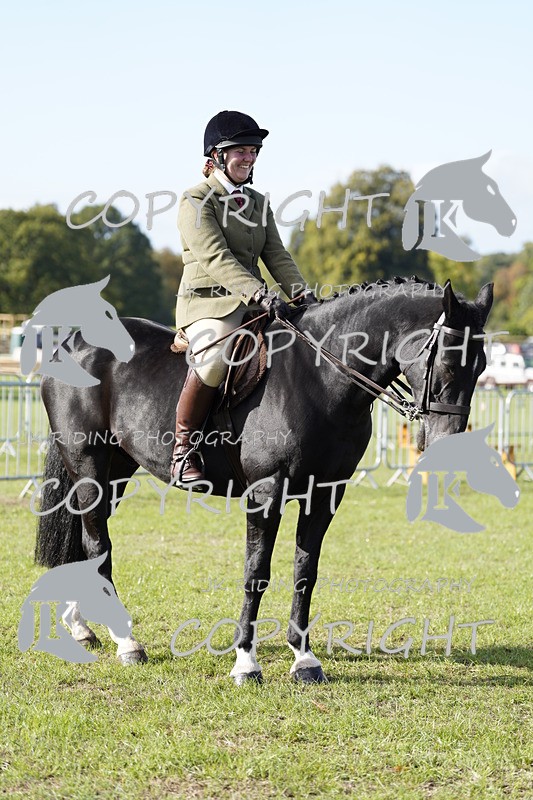 _DSC9557 - Class 8 & 17 Ridden Hunter & Ridden Hunter Pony