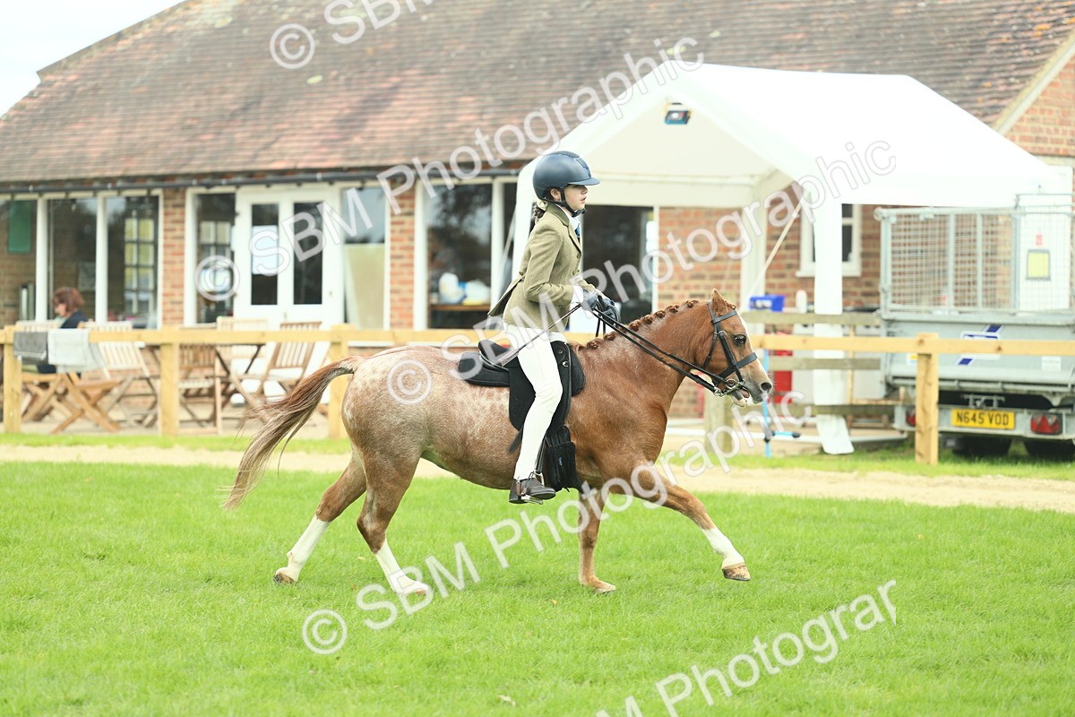 SBM_44674 - S31 - Working Hunter Pony