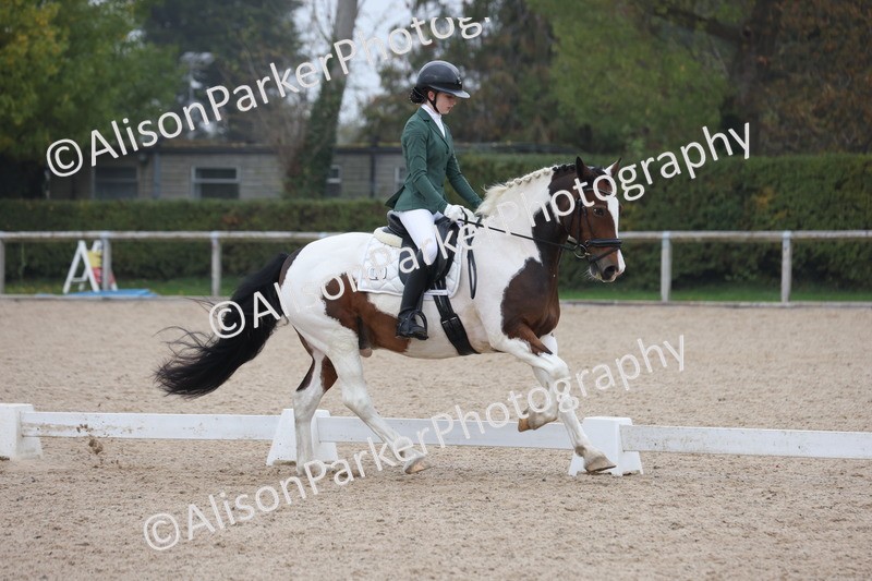 20251012-0592 - Class 5 - Elementary 5