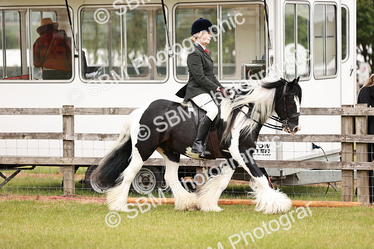 SBM_06105 - Class 39-41 TGCA In Hand and Ridden