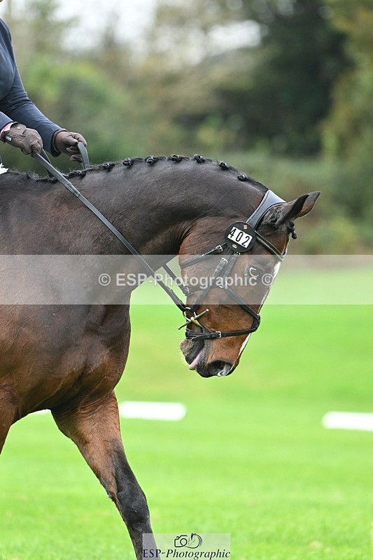 241024-093740-02815 - 402-Ella.Matravers-BALLYMITTY.MAC