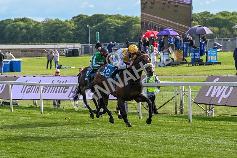 140526-Race 7-Arc Ole Ole-6015 - Race 7 5.15pm Frank Whittle Partnership Handicap
