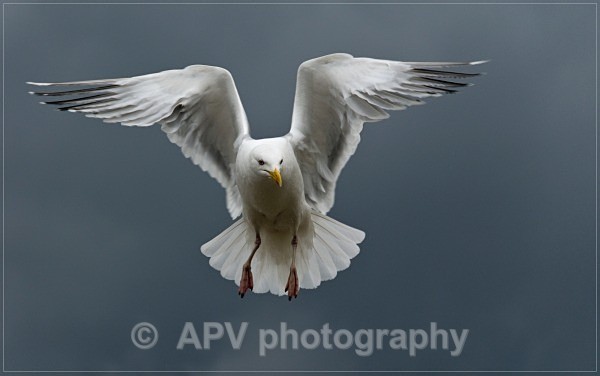 In search of Chips... - Scottish Highlands
