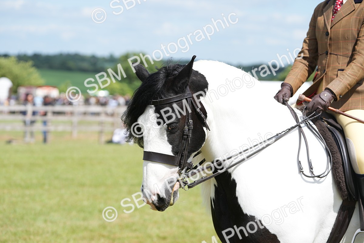 SBM_17235 - Class 107-108 - LIHS BSPS Performance Coloured Horse Pony