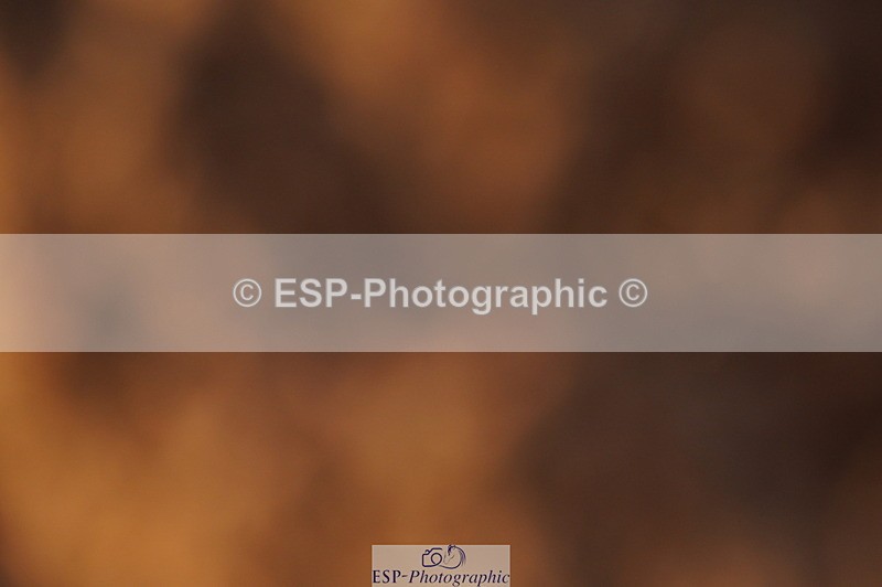 240628A-201622-01269 - Cls 4 1.10m Open