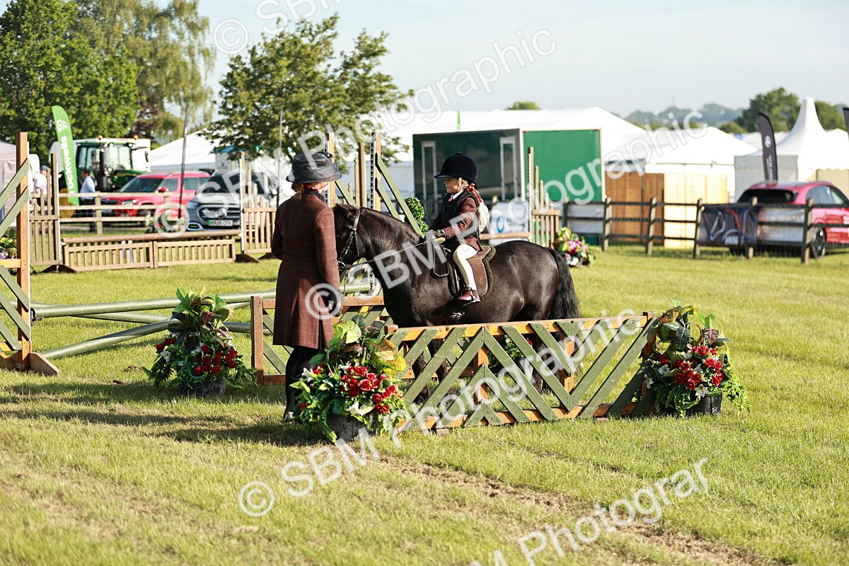 SBM_11110 - Class 106-107 - BSPS LIHS Working Sports Pony