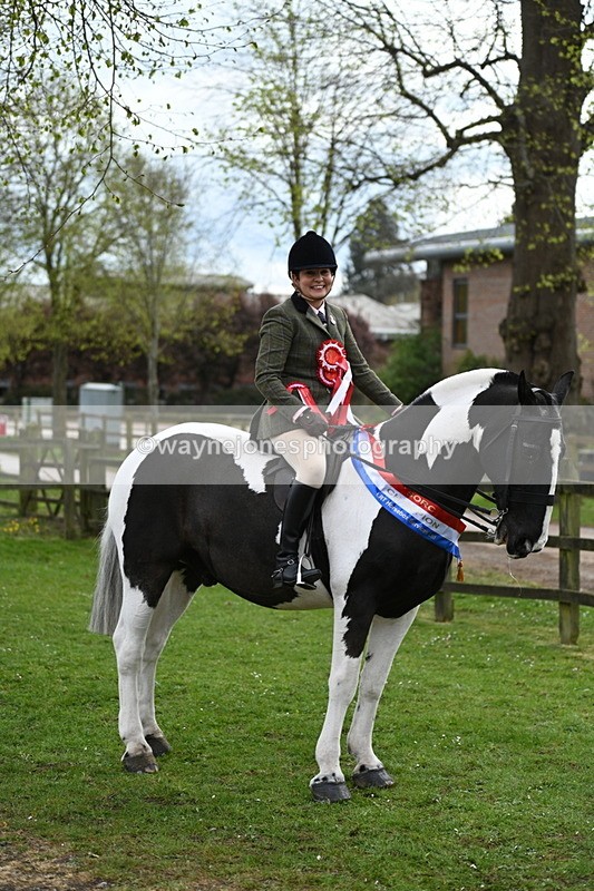 WJ7_4818 - Afternoon Champs