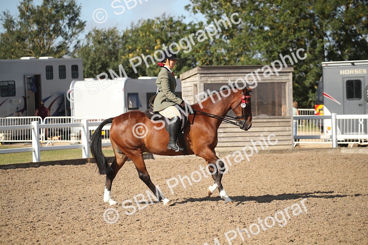 SBM_22708 - Class 601 - 2026 - Area - Ridden Diamond
