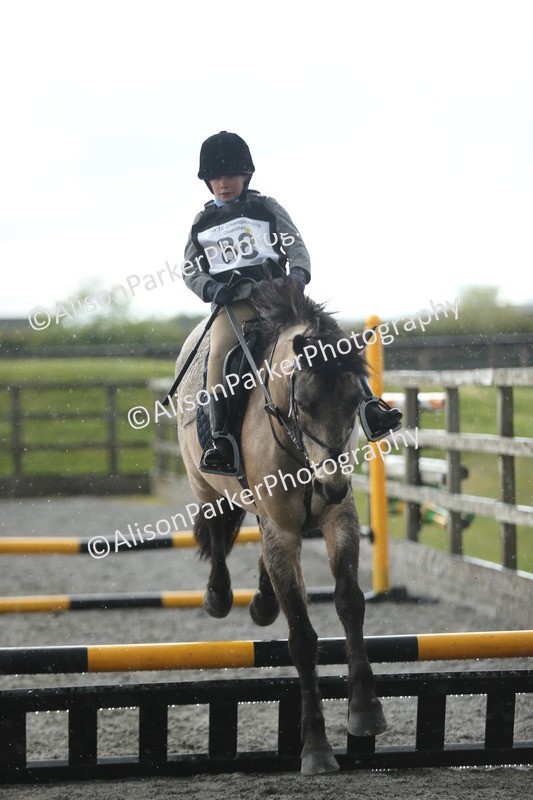 20260412-1947 - Show Jumping