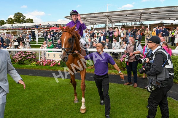 230824-Race 6-Angelo Buonarroti-9465 - Race 6 4.45pm British Stallion Studs EBF Convivial Maiden Stakes