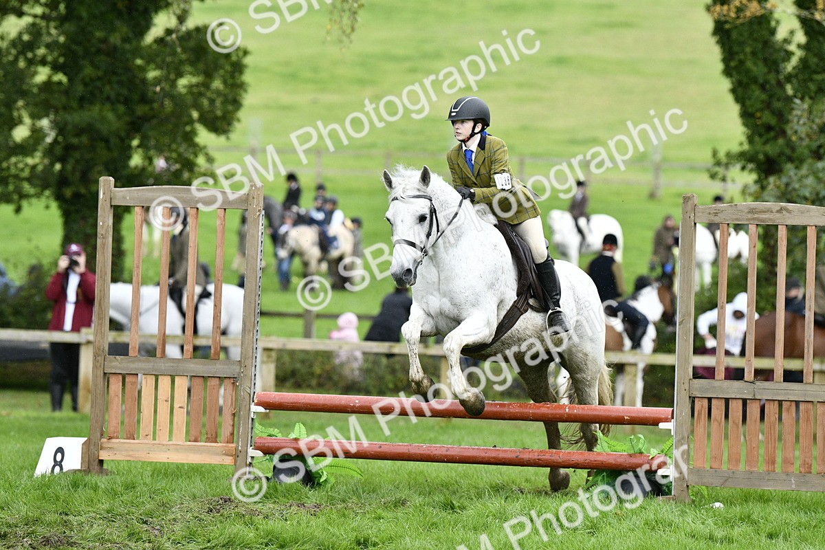 SBM_42260 - S32 - Mountain & Moorland Working Hunter Pony