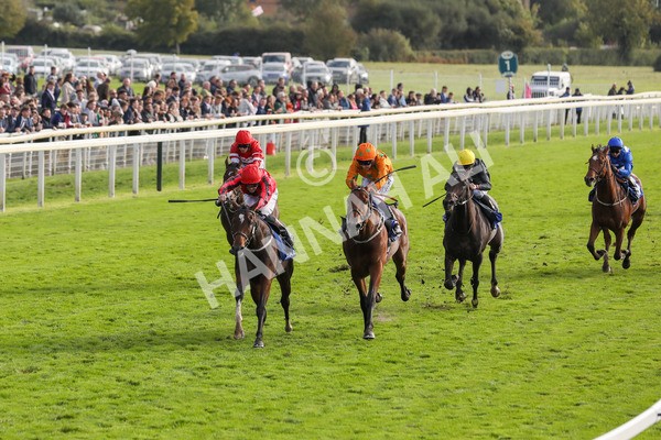 141023-Race 4-Colorada Dancer-0454 - Race 4 3.05pm Coral Racing Club EBF Maiden Stakes