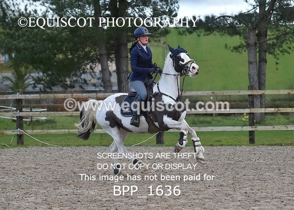 BPP_1636 - CLASS 9 Pony Newcomers/ 1m