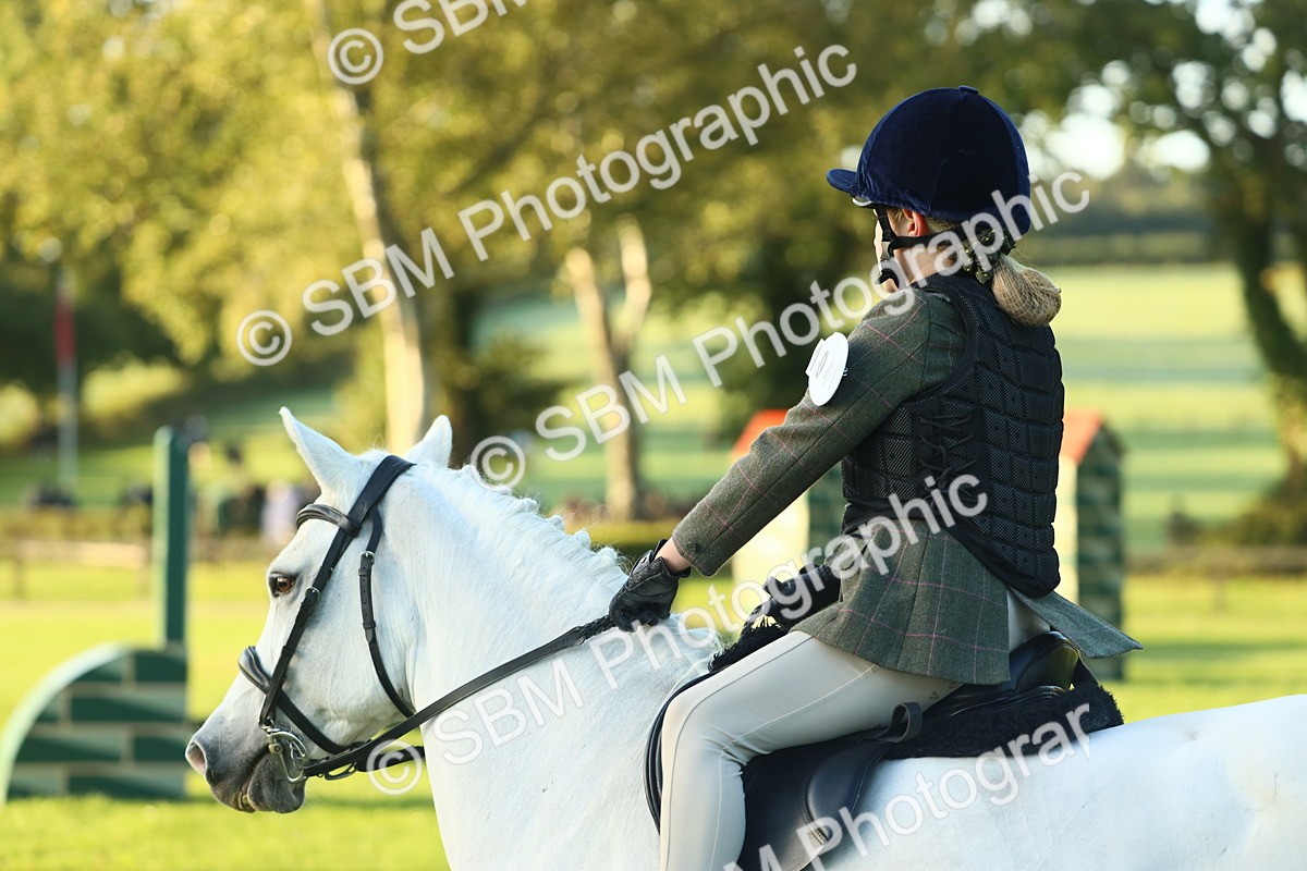 SBM_31699 - S28 - Nursery Stakes Working Hunter Pony