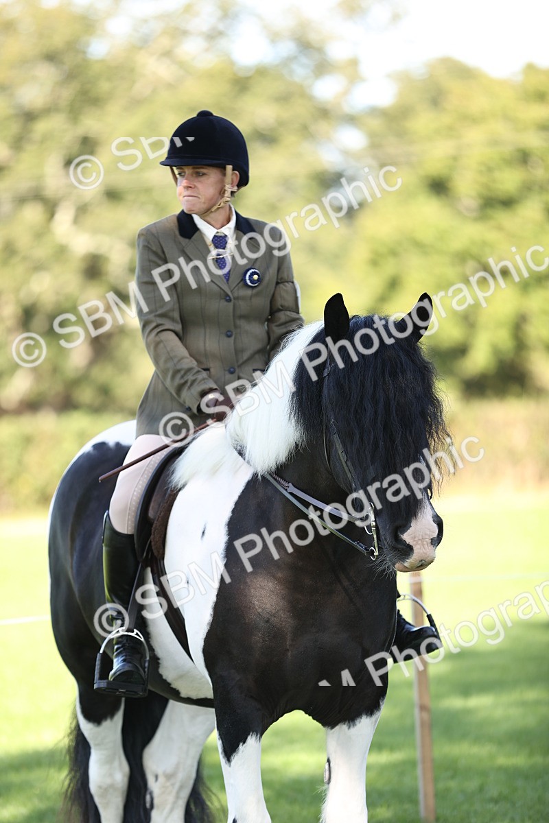 SBM_16923 - S2 - TSR Ridden Pony Showing