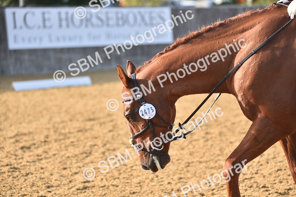 SBM_29717 - D16 -Small Tour Championship Novice 2