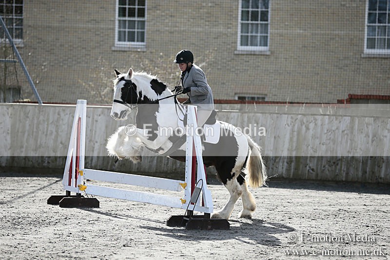 BVRC SJ 170319 89 - Bourne Valley Riding Club Showjumping 17/03/19