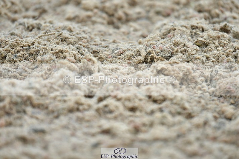 230630A-154818-03369 - Cls 1+5 Quest Intro A + Prelim 2