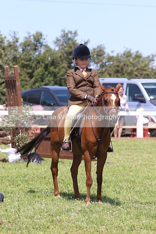 JPP_2305 - Class 20: Tiny Tots Working Hunter Pony