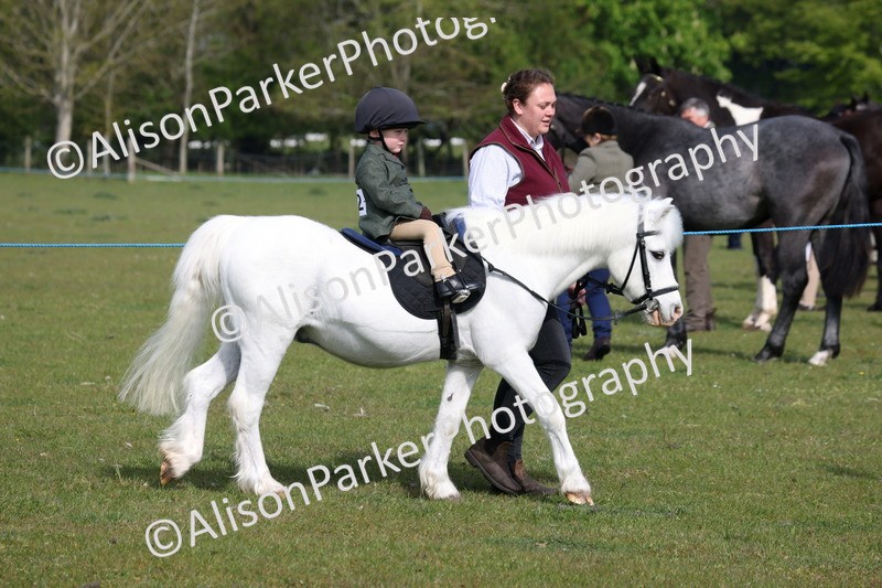 20260426-0280 - Class 30 - Tiny Tots Lead Rein