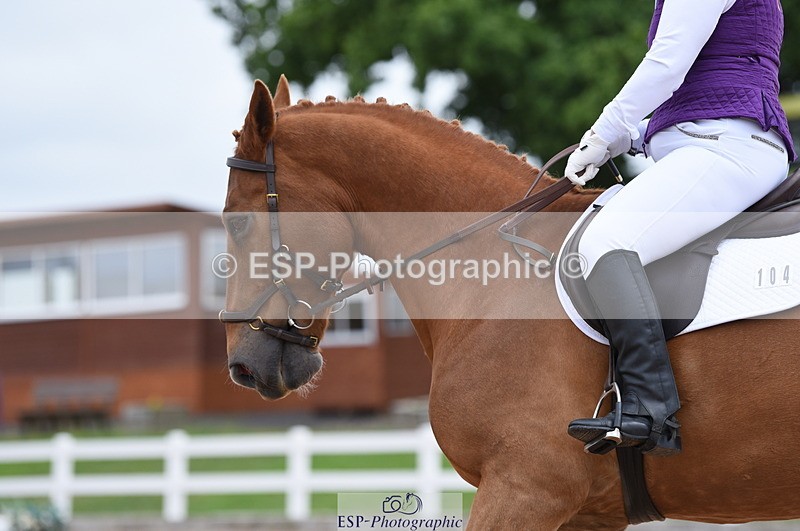 230702A-113348-08910 - Cls 19 Prelim 14