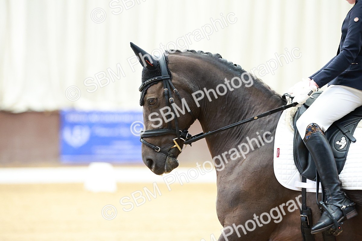 SBM_017099 - Class15 - FEI Pony