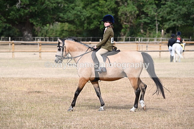 WJ6_7466 - Class 9 Tack and Turnout