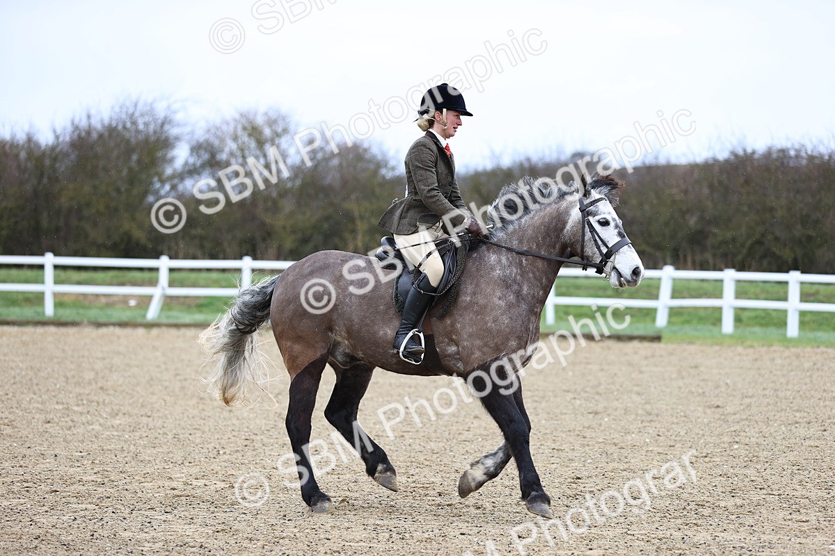 SBM_007586 - Class 31-32 - M&M Confined Novice Small-Large