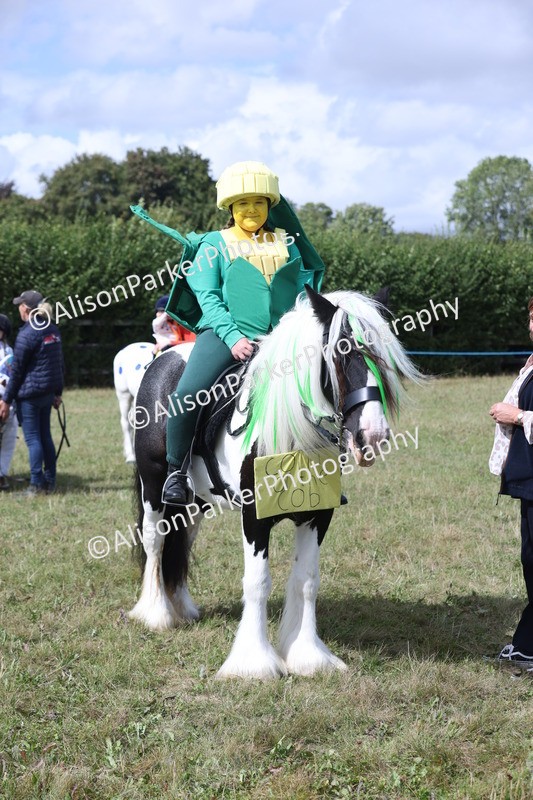 20250831-3553 - Class 26 - Fancy Dress