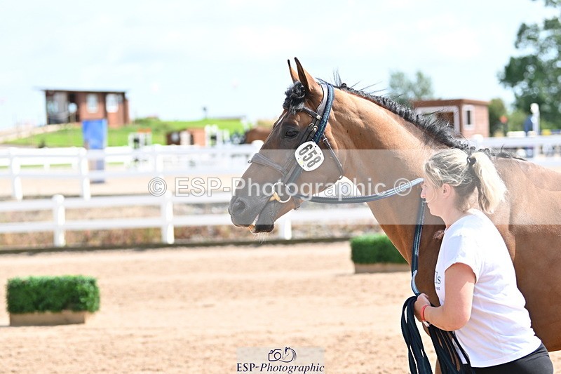 240717A-152024-02770 - Trot Up 3pm to 4pm