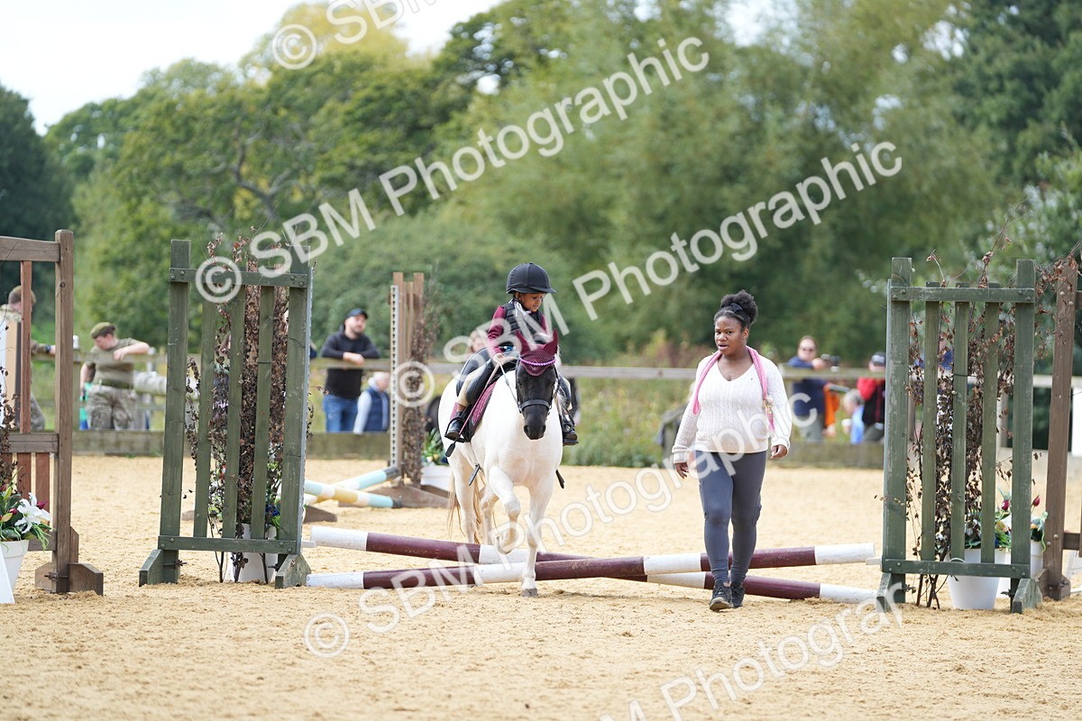 SBM_64345 - J2 - Mini Tour Junior Pony 30cm Championship
