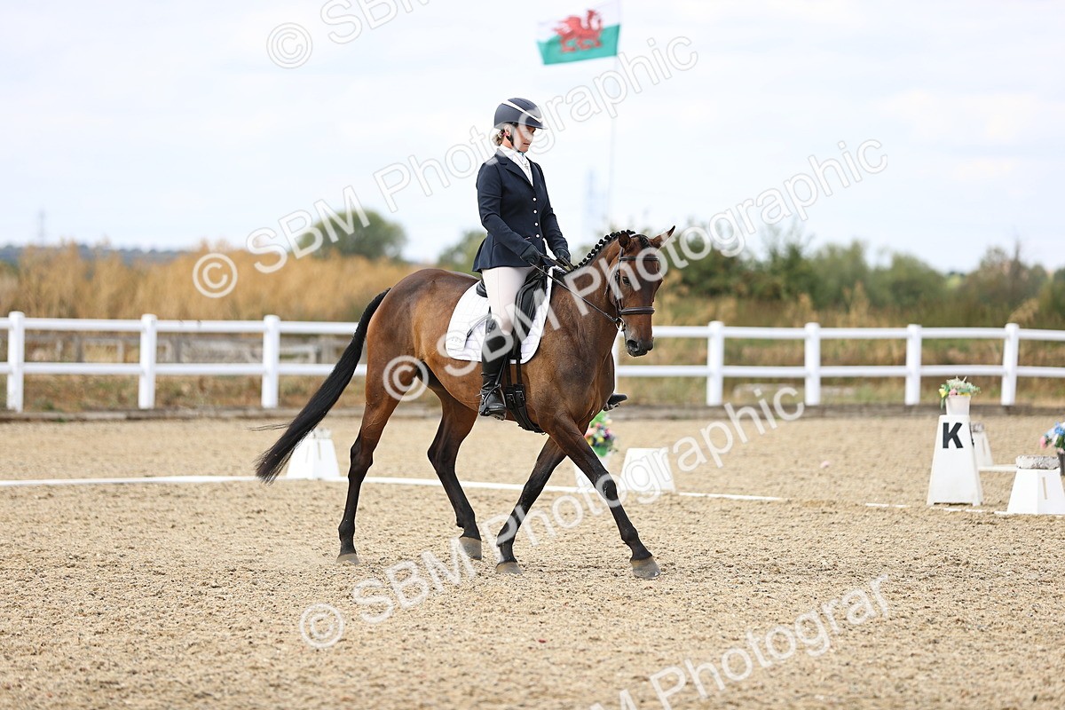 SBM_015370 - Class 5 - E5 Bronze 14.42.15.54