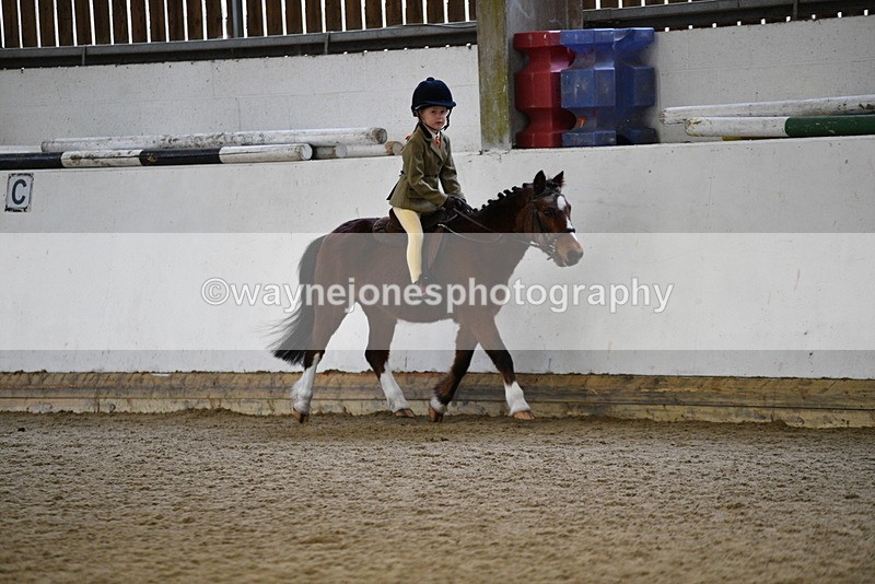 WJ5_6523 - Class 10 Childs Pony