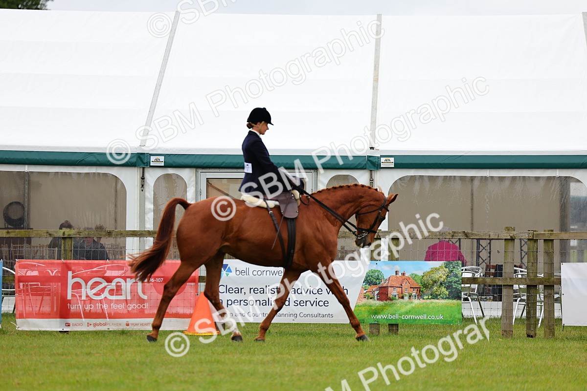 SBM_02749 - Class 9-11 Side Saddle including LIHS Rising Star Ladies Show Horse