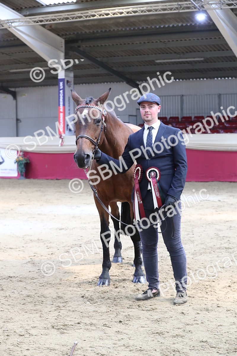 SBM_04481 - Class 7R Regional - IH Diamond