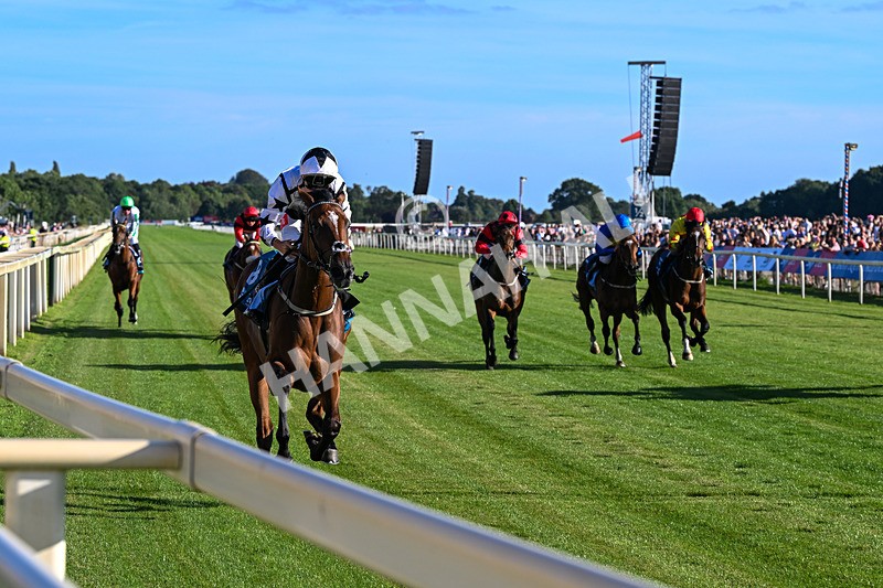 240726-Race 3-Coral Cove-5235 - Race 3 18.40pm Ire-Incentive, It Pays To Buy Irish EBF Restricted Novice