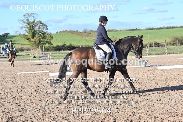 BPP_9564 - LONG ARENA