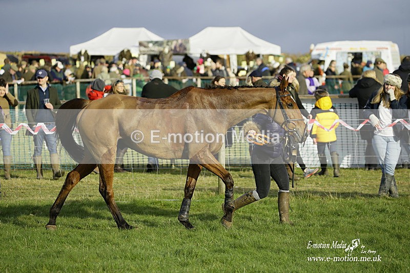 PtP 300122 587 - South Dorset Hunt - Point-to-Point Races 30/01/2022