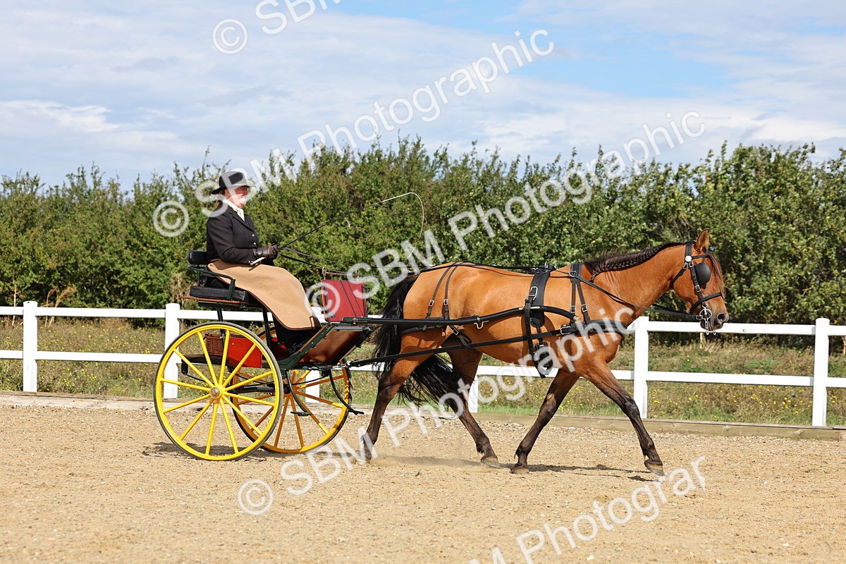 SBM_000896 - Class 8 - Novice Horse or Pony to any vehicle