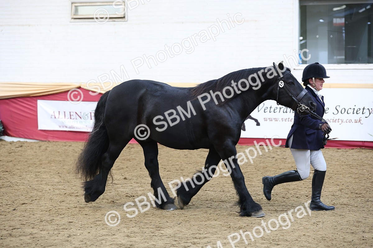 SBM_23634 - class 906 - Supreme Final - Ridden Pre Vet