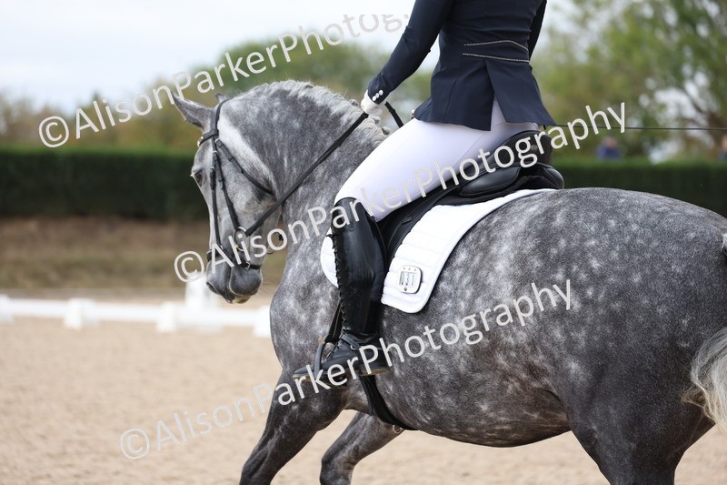 20250820-0817 - Class 15 - Novice 4