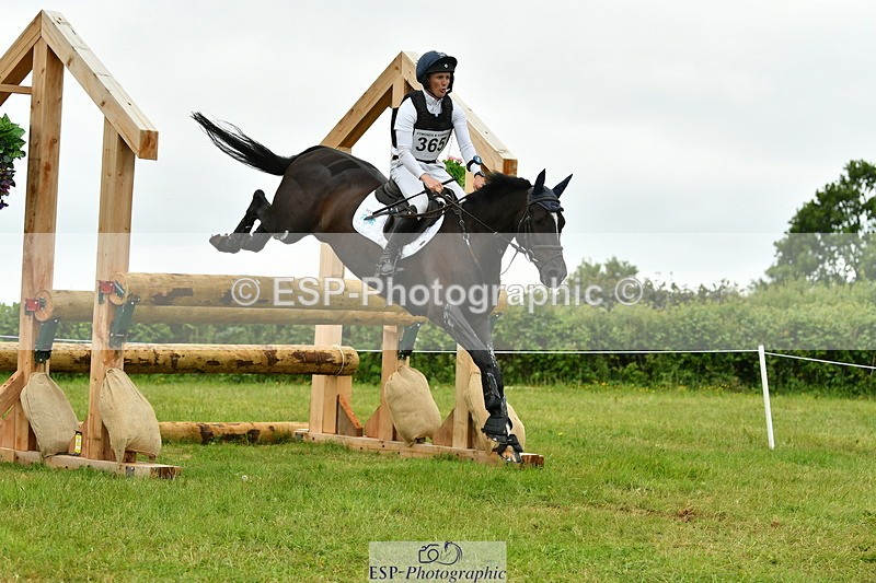 250524A-131231-10518 - B-365-Tom.McEwen-MAESTRO