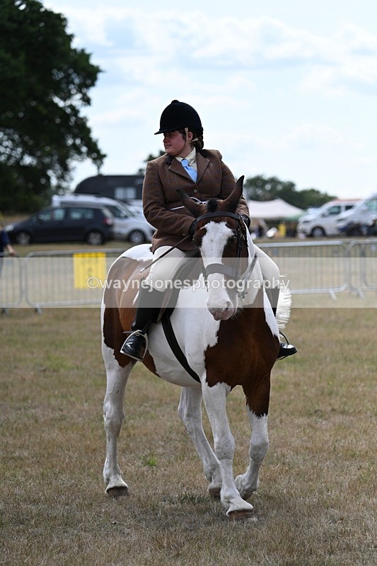 WJ7_5556 - Class 12 Ridden Cob