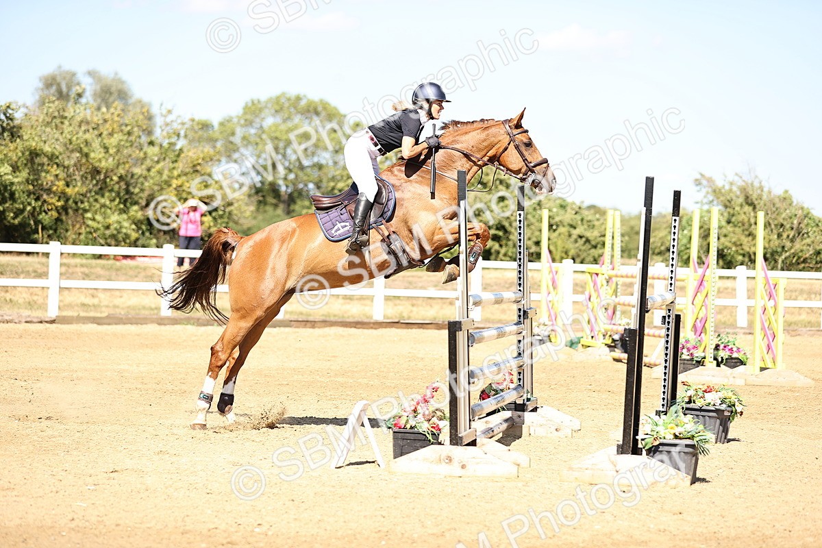 SBM_015534 - Class 16 - Senior foxhunter - 1.20m Open