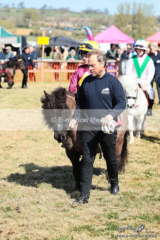 Shet 060426 117 - Shetland Pony Racing Paxford Races Easter Mon 06/04/26