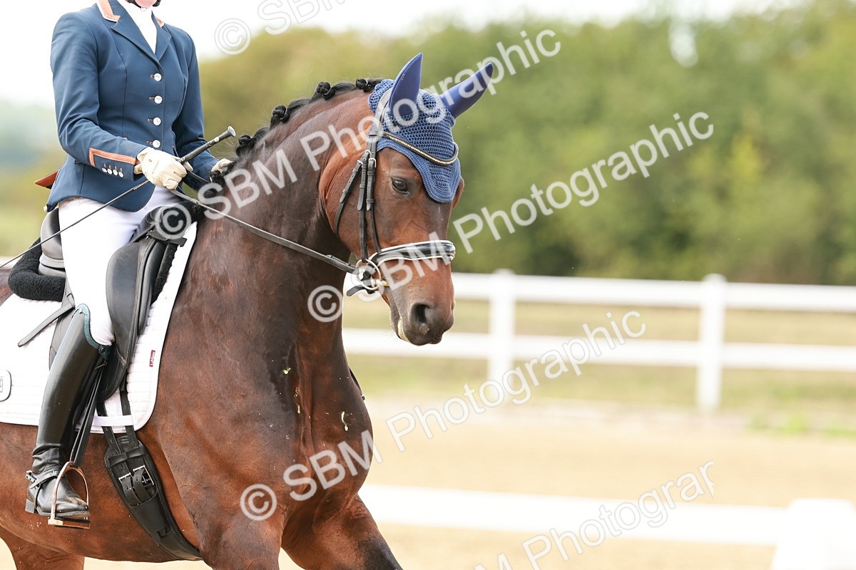 SBM_002184 - Class 11 - Medium 6